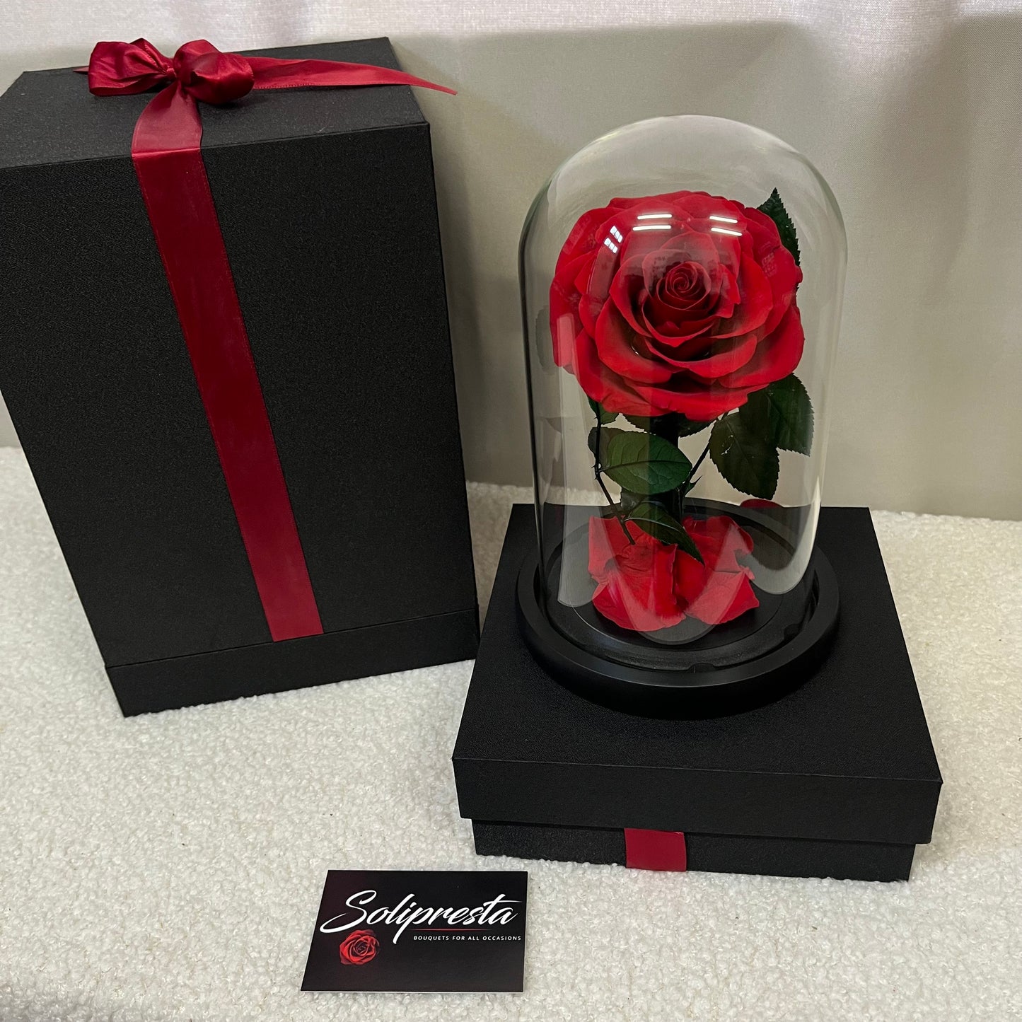 Rose Éternelle sous Cloche