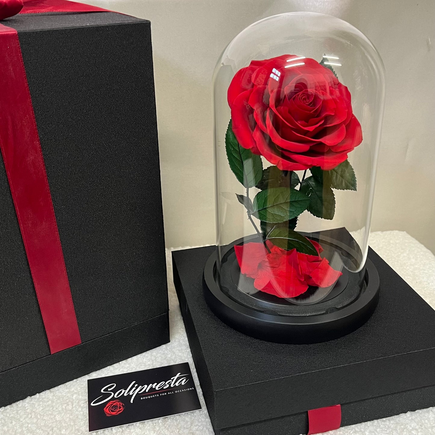 Rose Éternelle sous Cloche